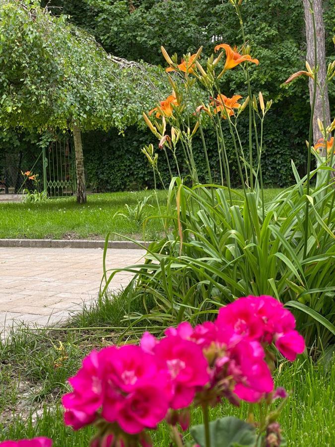 Balatonair Vendeghaz Hotel Balatonfüred Екстериор снимка