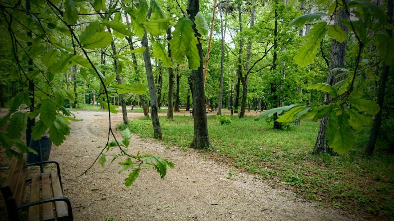 Balatonair Vendeghaz Hotel Balatonfüred Екстериор снимка